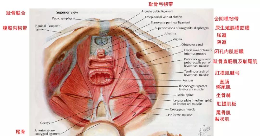 产后修复 高端会所大客专属__柒滴爱 私护全能护理 一套顶九套！